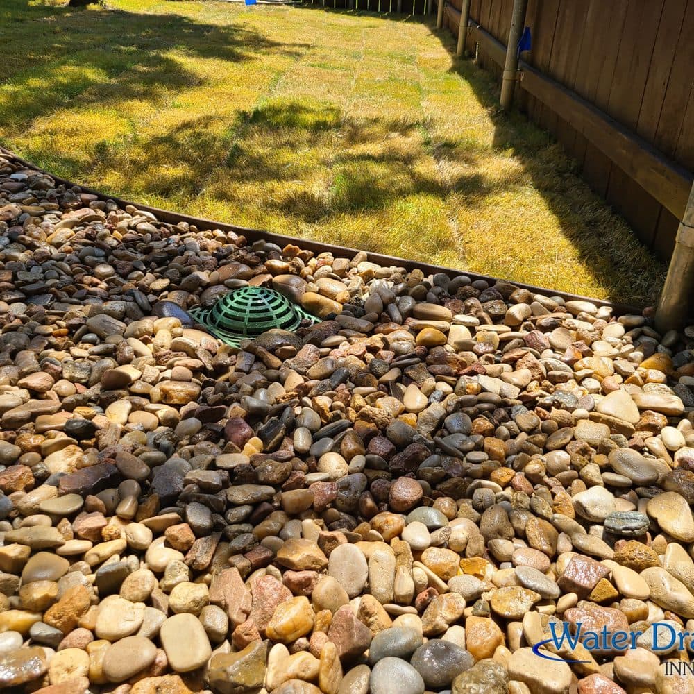 Stump Grinding Project